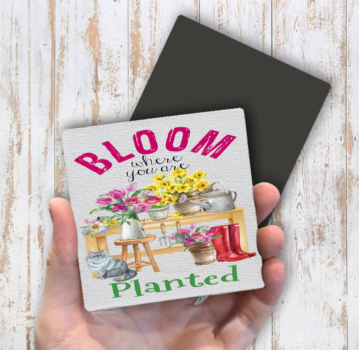 Bloom where you're planted Flowers Cats Magnet Fridge