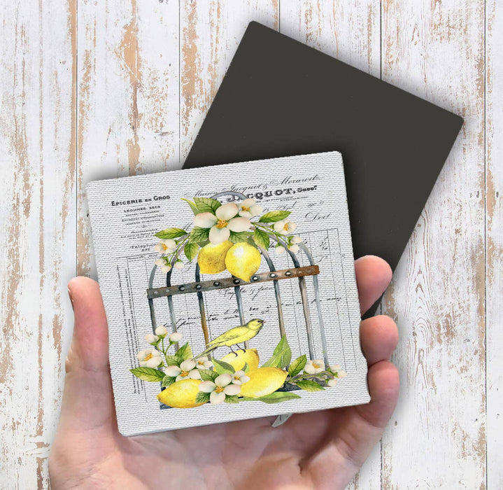 French Lemons Bird Cage Magnet Fridge