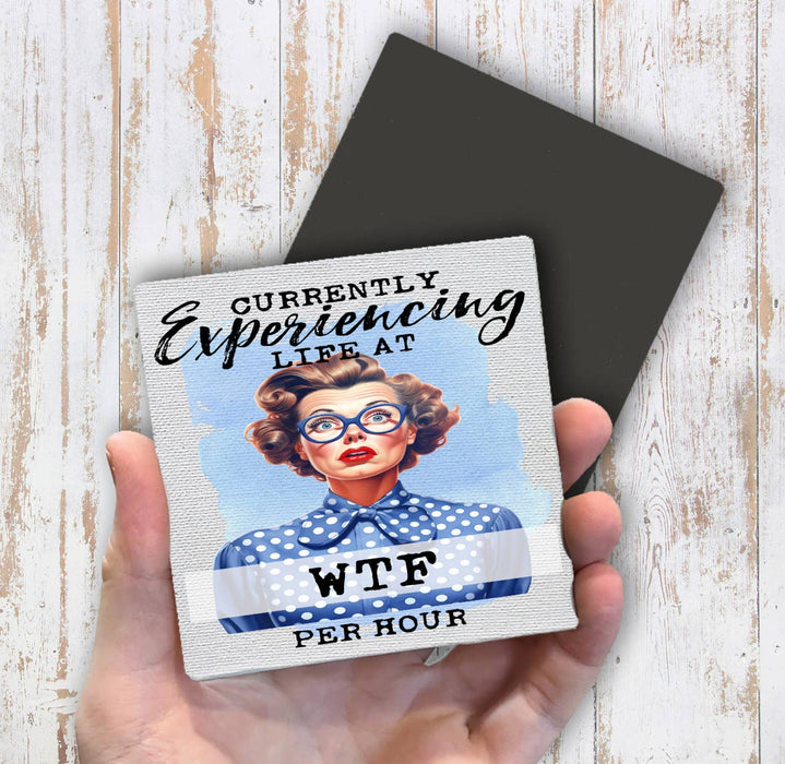 Experiencing Life at WTF Funny Magnet Fridge