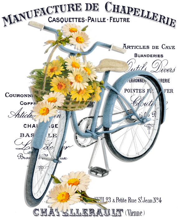 Vintage French Daisy Bicycle Shabby Chic