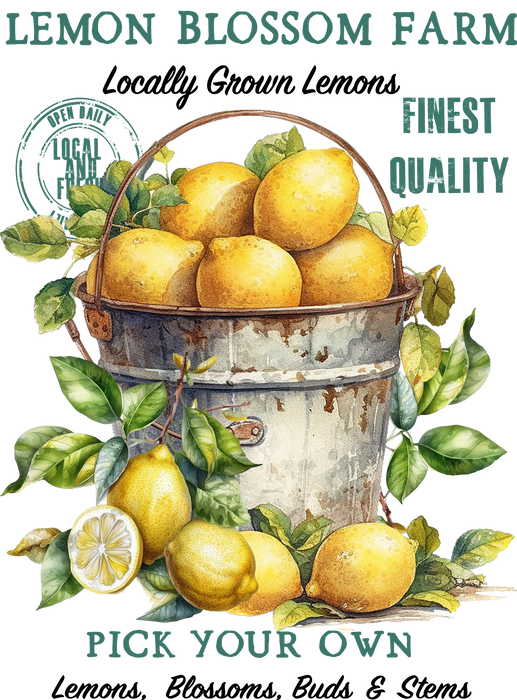 Bucket of Lemon Blossom Farm