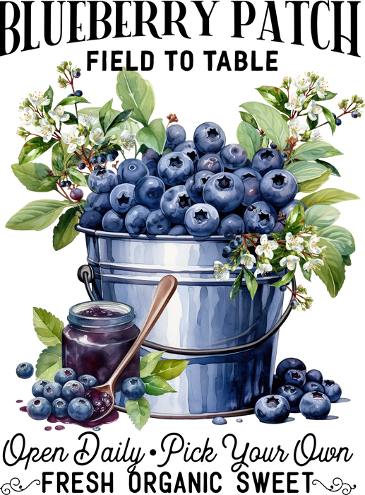 Blueberry Patch Field to Table