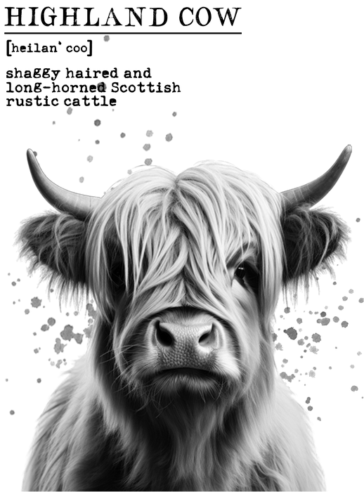 Highland Cow Definition Farm