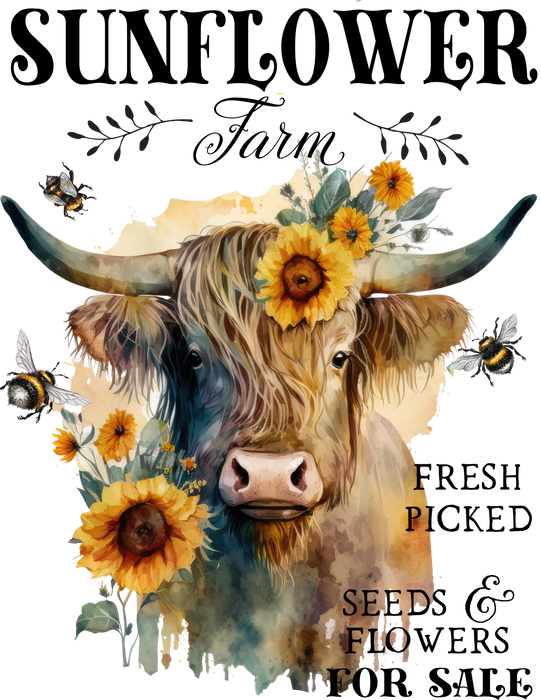 Highland Cow Sunflower Farm