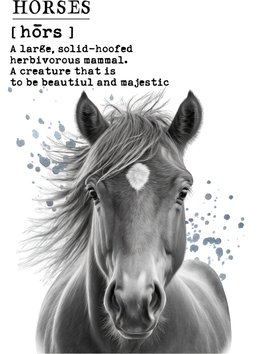 Definition of  Horse