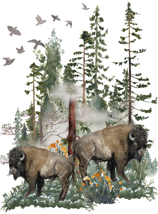 Buffalo Mountains Wildlife