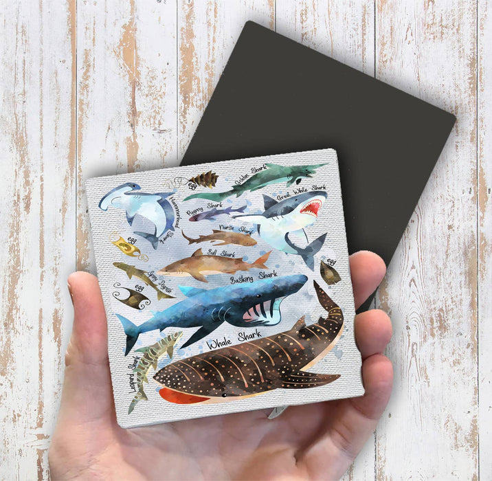 Sharks Variety Sea Ocean Coastal Magnet Fridge