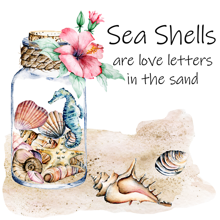 Sea Shells are a Love Letter