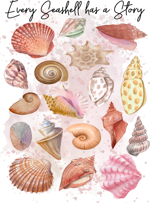 Seashells Has a Story Coastal Beach