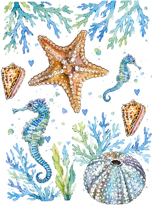 Coastal Blue Starfish Sea Horse Ocean