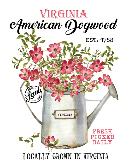 Virginia State Flower American Dogwood Souvenir