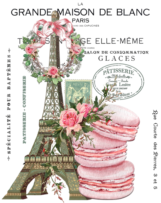 Vintage Paris France Pink Macarons