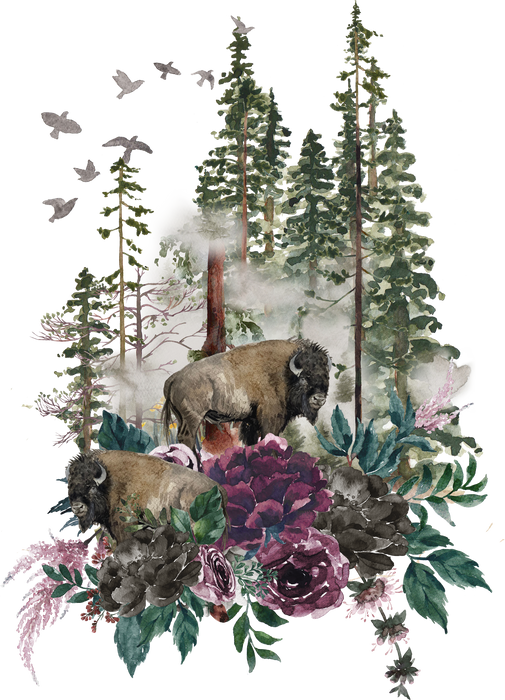 Buffalo Forest Trees Nature