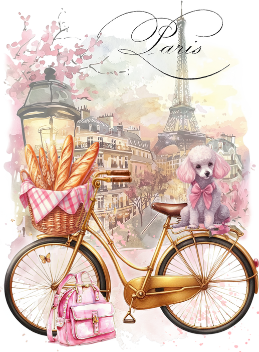 Paris with Bicycle