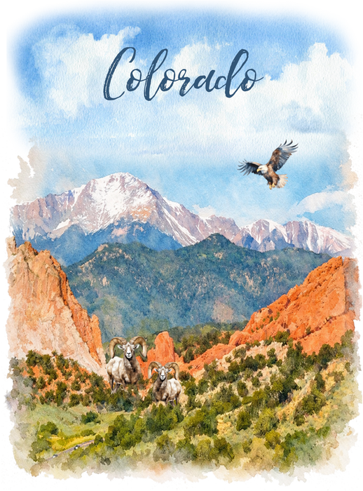 Colorado Mountain Scene Big Horn Sheep