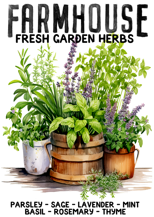 Farmhouse Fresh Herbs Basil, Thyme