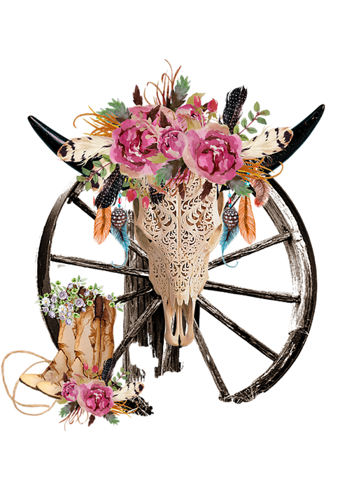 Western Cow Skull Cactus Southwest