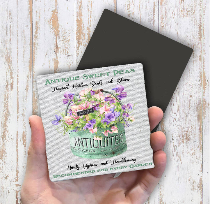 Antique Sweet Peas Flowers Magnet Fridge