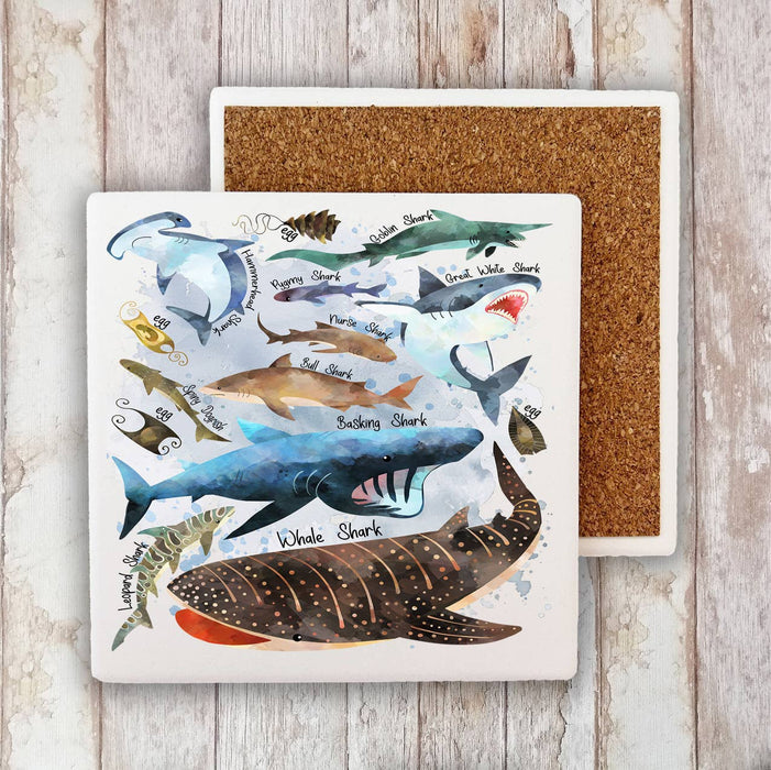 Sharks Variety Sea Ocean Coastal Stone Coaster