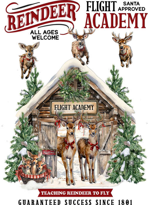Christmas Reindeer Flight Academyt