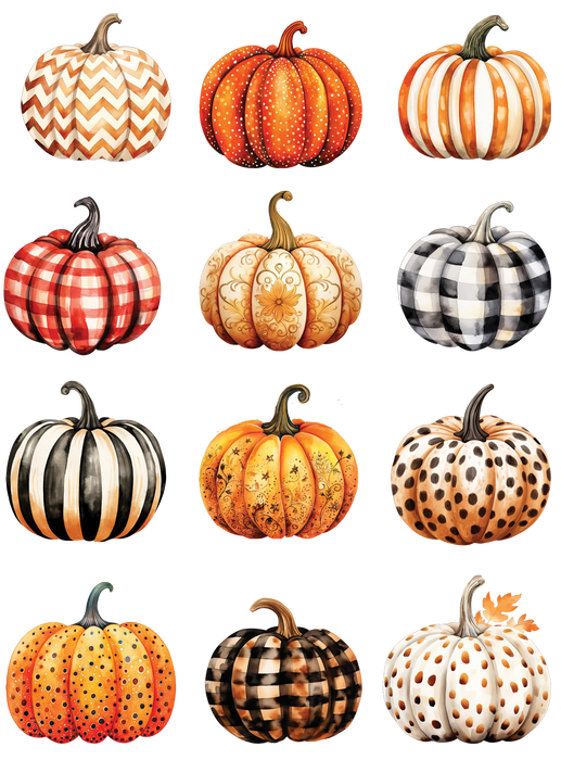 Fall Autumn Variety of Pumpkins