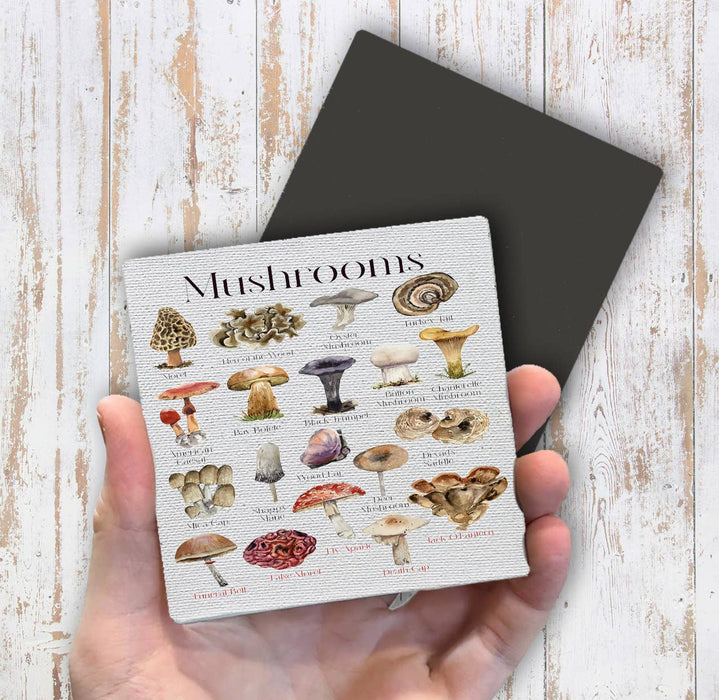 Vintage Mushrooms Variety Magnet Fridge