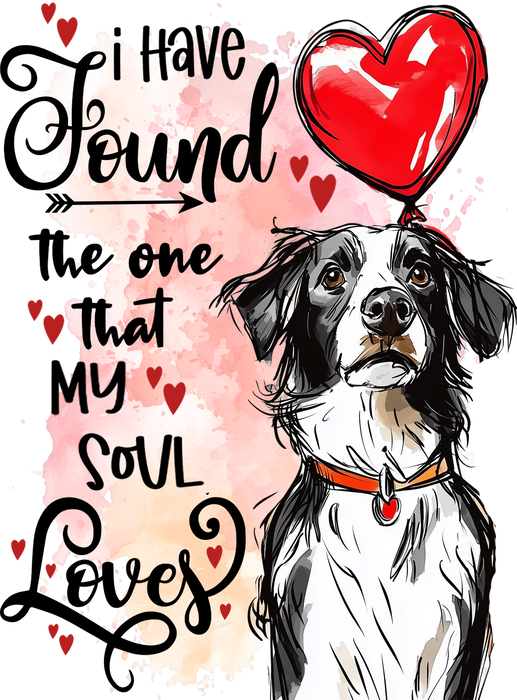 Dog Border Collie Found My Love Valentine Tea Towel