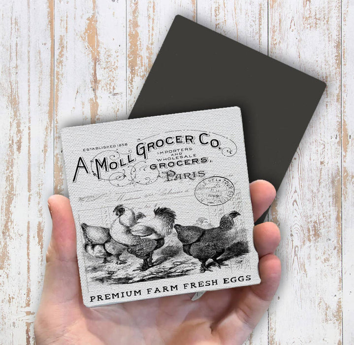 Vintage French Chickens Magnet Fridge