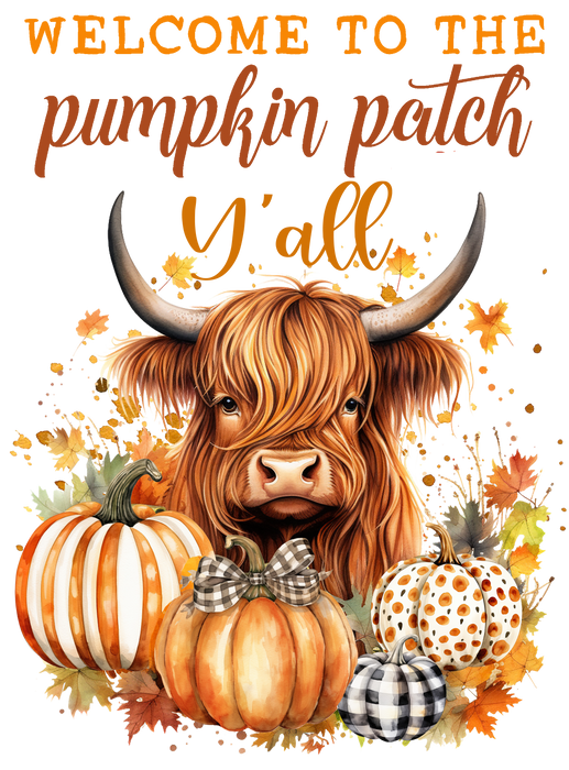 Welcome to the pumpkin patch y'all