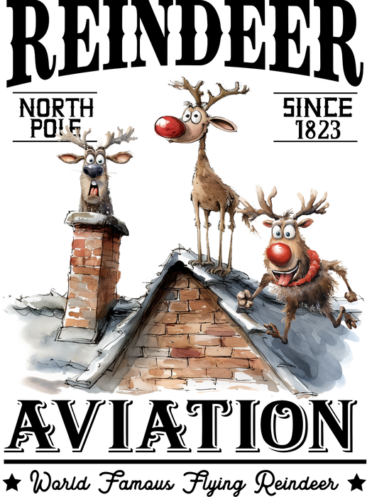 Reindeer Aviation