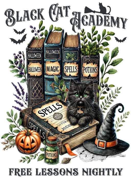Black Cat Academy Books