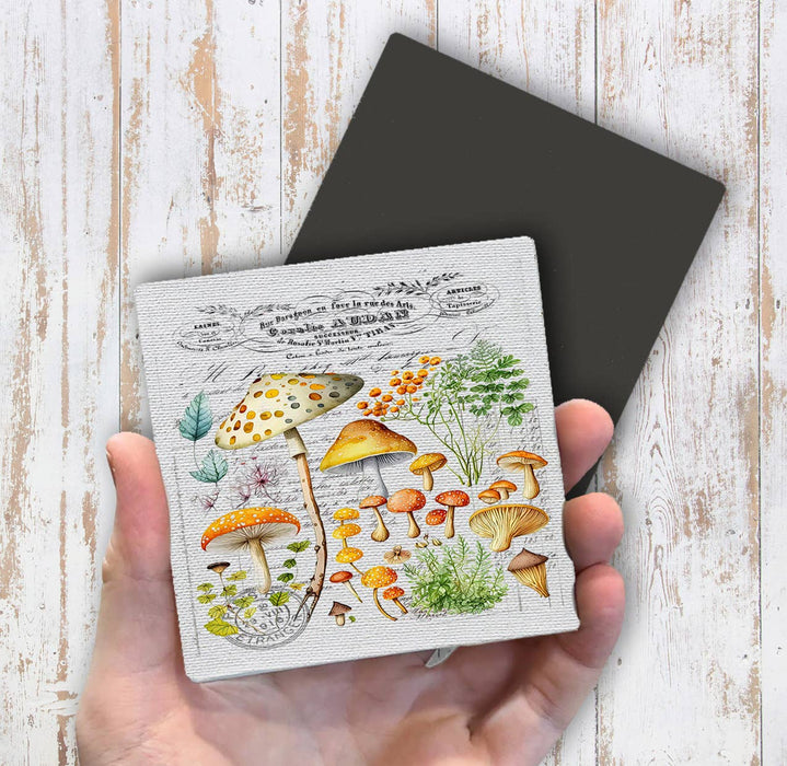 Vintage Mushrooms Botanicals Magnet Fridge