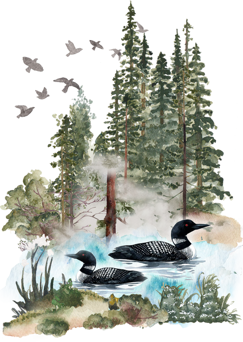 2 Loons Lake Mountains Wildlife