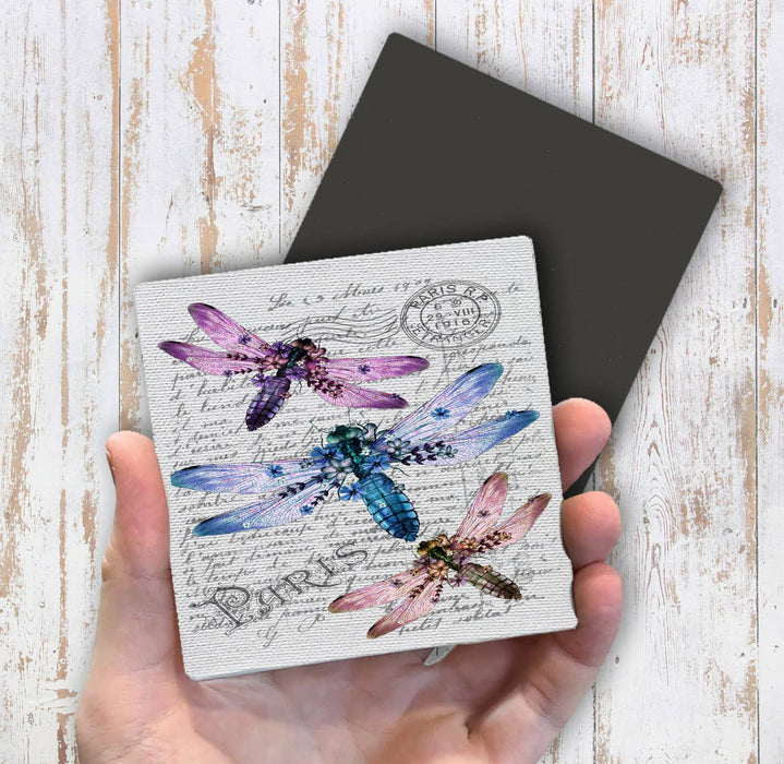 Vintage Dragonfly Paris Insect Magnet Fridge