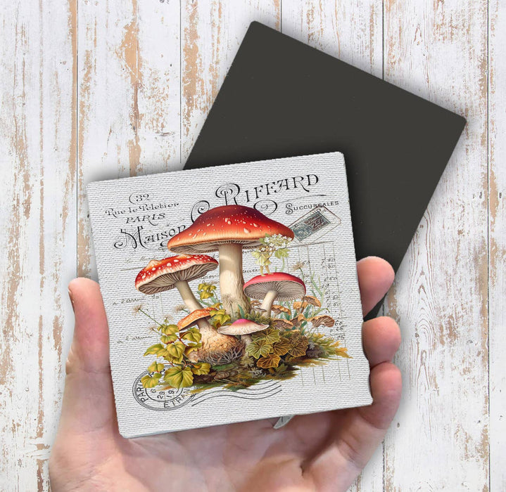 Vintage French Red & White Mushrooms Magnet Fridge