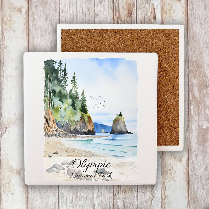 Olympic National Park Washington  Stone Coaster