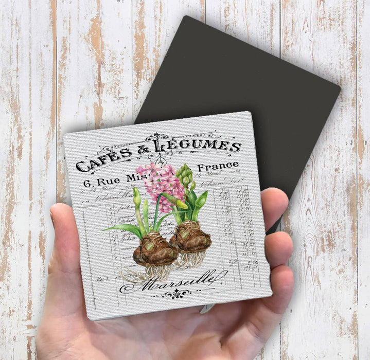 French Spring Bulbs Daffodils Magnet Fridge