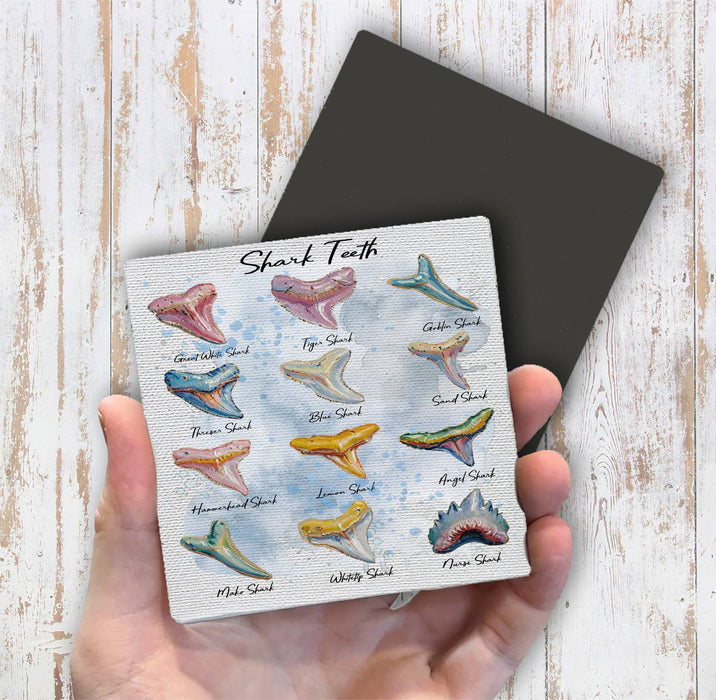 Shark Teeth Variety Coastal Beach Magnet Fridge