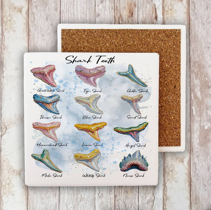 Shark Teeth Variety Coastal Beach Stone Coaster