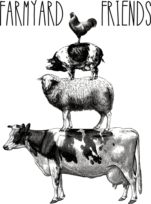 Farmyard Friends Cow Sheep Pig Chicken
