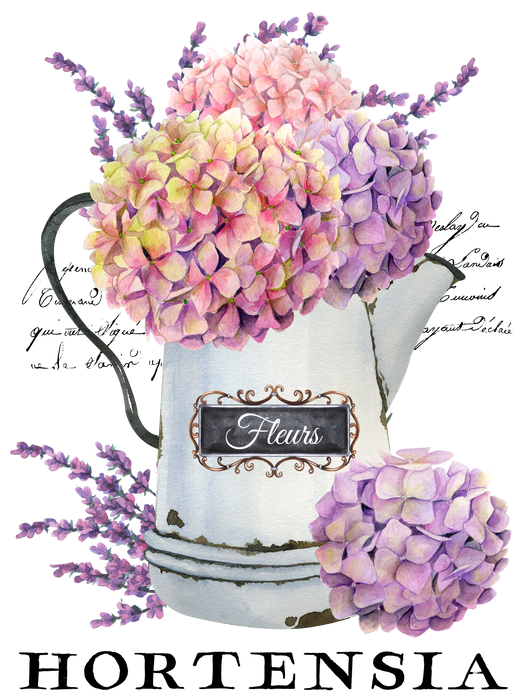 Farmhouse Paris Hydrangea