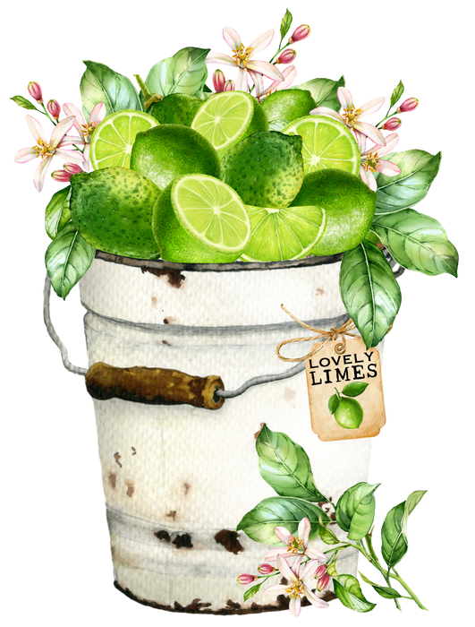 Farmhouse Bucket of Limes