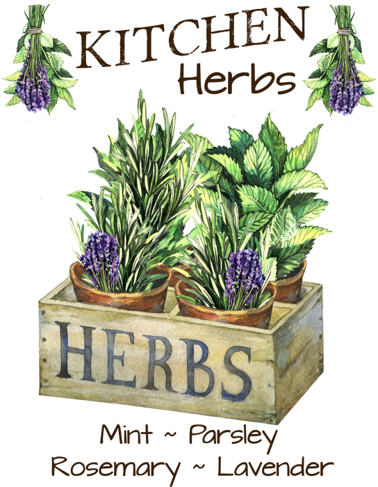 Country Herbs Mint Lavender