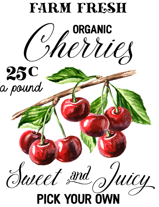 Farm Fresh Organic Cherries