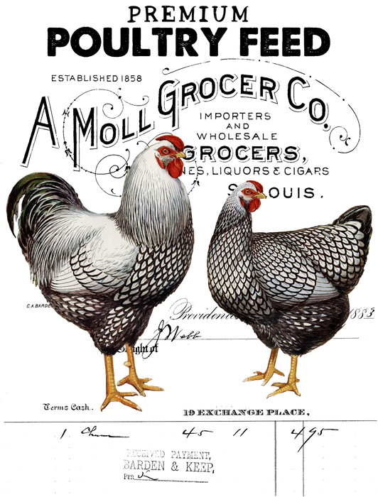 Farmer Market Poultry Feed Chicken