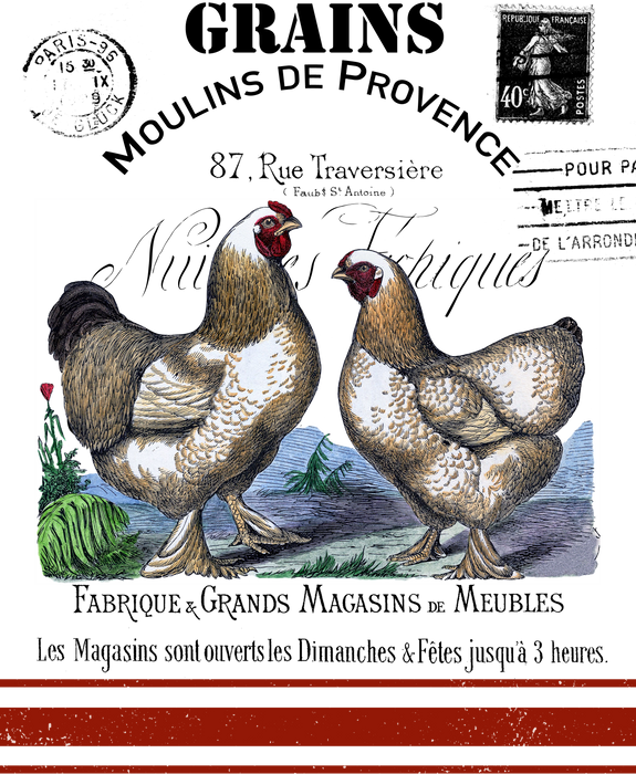 French Country Farm Chickens