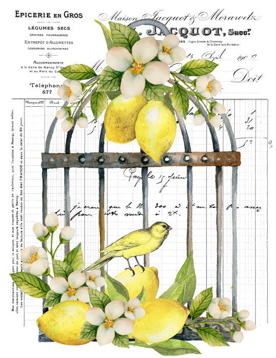 French Lemons Bird Cage