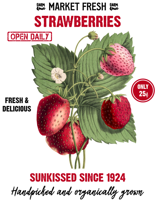 Farm Fresh Summer Strawberries
