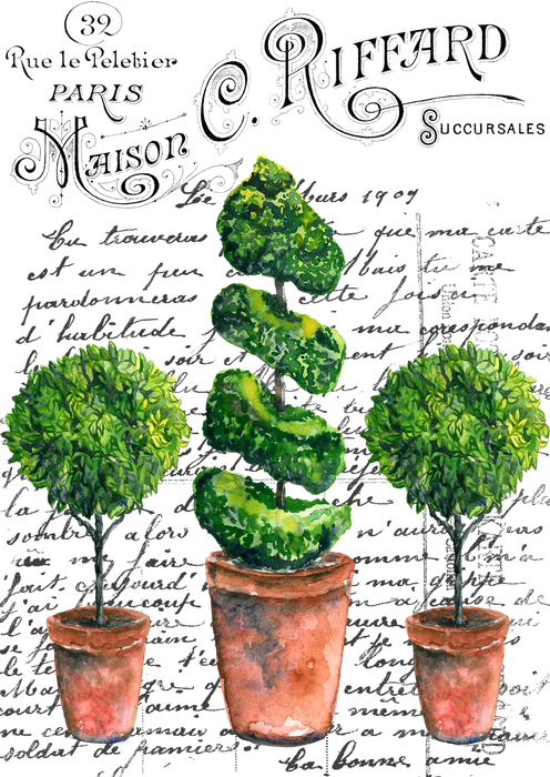 Vintage French Topiary Trees