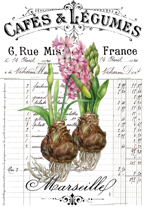 French Spring Bulbs Florals